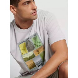 BodyTalk Ανδρικό T-shirt Γκρι με Στάμπα 1231-953328